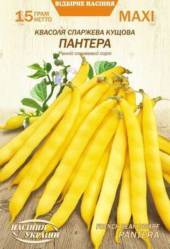 Насіння МАКСІ Квасоля Кущова ПАНТЕРА [15г] (Насіння України), 15 г