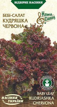 Насіння Бебі-Салат КУДРЯШКА ЧЕРВОНА [1г] (Насіння України), 1 г