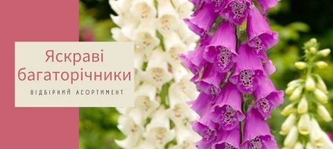Доставка