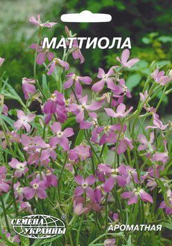 Насіння Гігант Матіола /5г/