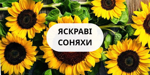 Banner from design