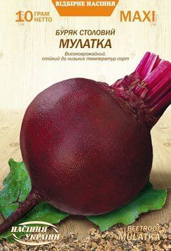 Насіння МАКСІ Буряк Столовий МУЛАТКА [10г] (Насіння України), 10 г