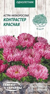 Насіння Айстра Низька КОНТРАСТЕР ЧЕРВОНА [0,2г] (Насіння України), 0,2г