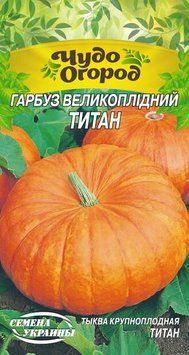 Насіння Гарбуз Великоплідний ТИТАН [2г] (Насіння України), 2 г
